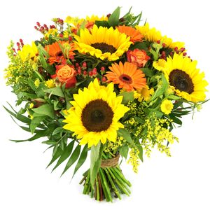 Zonnebloemen geel oranje