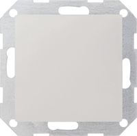 Gira System 55 blinde afdekplaat met draagring, zuiver, wit mat - thumbnail