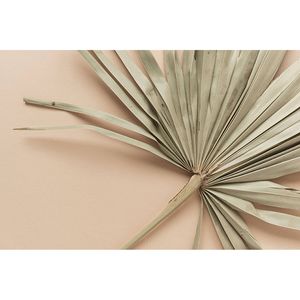Inductiebeschermer - Tropisch Palm Blad - 76x51.5 cm