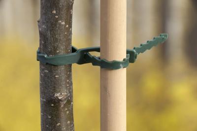 Universele bindband met rattenstaartsluting groen 35cm set a 12 stuks - Nature