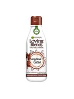 Garnier Loving blends haarmasker cacao (250 ml) - thumbnail