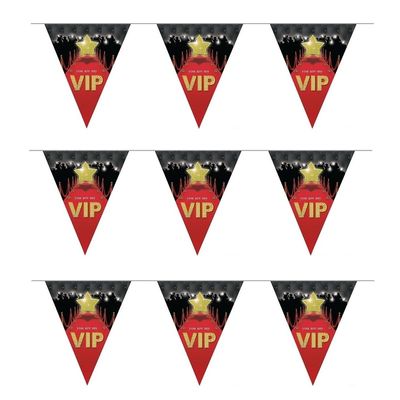 3 stuks VIP vlaggenlijnen van 5 meter