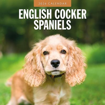 Engelse Cocker Spaniel Kalender 2026
