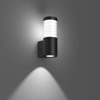 RZB 621097.0231.1 LED-wandlamp