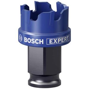 Bosch Accessories EXPERT Sheet Metal 2608900494 Gatenzaag 1 stuks 25 mm 1 stuk(s)