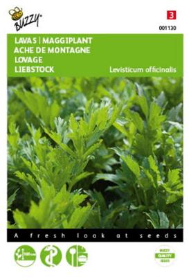 Lavas Maggiplant - Buzzy