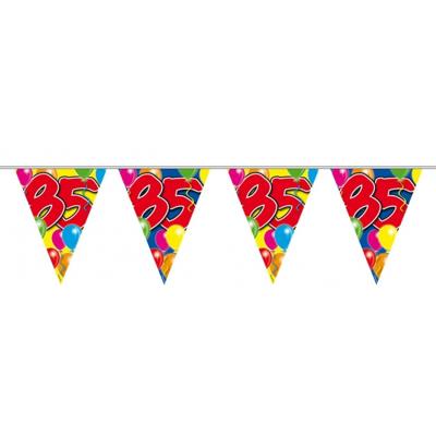 Vlaggenlijn 85 jaar - 10 meter - plastic - Leeftijd versiering - 85e verjaardag