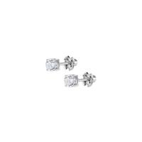 Dames oorbellen Lotus WS00366/4