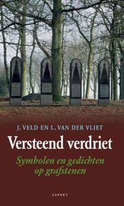 Versteend verdriet - Jaap Veld, Lex Van Der Vliet - ebook