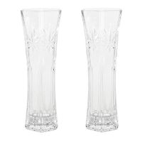 Set van 2x stuks bloemenvazen van ornament glas 29 x 11 cm