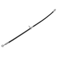 Remslang ADH253176