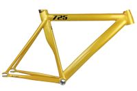 Leader 725 Frame - Goud Leader 725 Frame - Goud