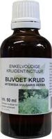 Natura Sanat Artemisia vulgaris herb/bijvoet tinctuur bio (50 ml)