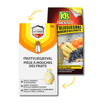 Home defense fruitvliegjesval