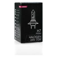 Gloeilamp M-Tech Z904 24v 70W H7