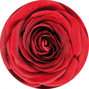 30x Onderzetters met rode roos bloemen   -
