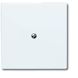ABB 2138-34 Blindafdekking Afdekking Wit, Zuiver wit (RAL 9010) 1 stuk(s)