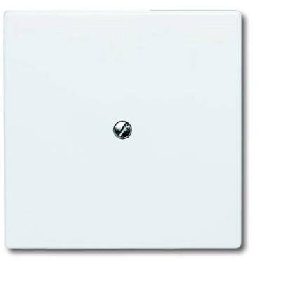 ABB 2138-34 Blindafdekking Afdekking Wit, Zuiver wit (RAL 9010) 1 stuk(s)