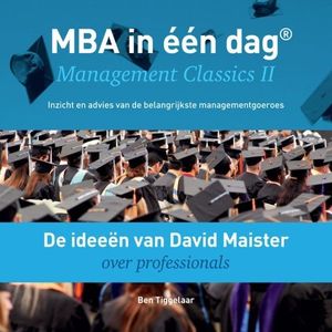 De ideeën van David Maister over professionals