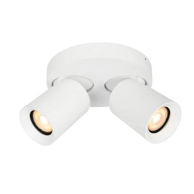 Artdelight Ronde plafondlampMegano 2-lichts wit - PL MEGANO2-RO WI