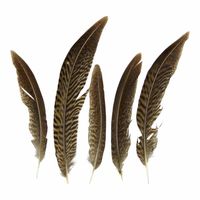 Goudkleurige Fazantenveren - 13 cm (Set van 5) - thumbnail