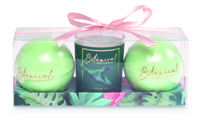 Source Balance Botanical Gift Set