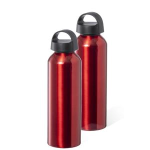 Waterfles / drinkfles / sportfles - 2x - metallic rood - aluminium - 800 ml - schroefdop