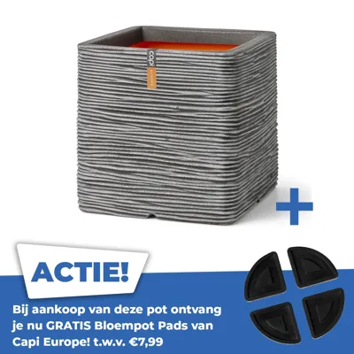 Pot vierkant rib nl l50b50h50 antraciet Pot vierkant rib nl l50b50h50 antraciet