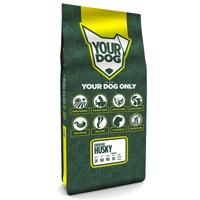 YOURDOG SIBERISCHE HUSKY SENIOR