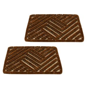 Schoenen borstelmat - 2x - bruin - 40 x 60 cm - deurmat/schoenenveger