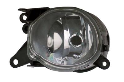 Mistlamp rechts 190001052