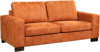 Leren bank Enjoy, 2.5-zitsbank - Echt leer, Modern, Comfortabel en kies uit meer dan 150+ kleuren - Ontdek de Vele Leersoorten en Kleuren bij ShopX