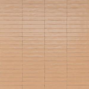 Ragno Wish RCGC Wandtegel 053X300 Petal 10Mm Mat