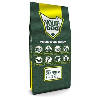 YOURDOG CHIEN FRANÇAIS TRICOLORE SENIOR