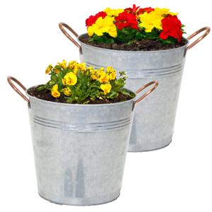 Plantenpot/bloempot emmer Jean - 2x - zink - zilver - D16 X H15 cm