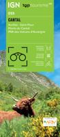 Fietskaart - Wegenkaart - landkaart D15 Top D100 Cantal | IGN - Institut Géographique National