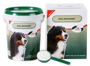 PRIMEVAL GELATINAAT HOND 500 GR