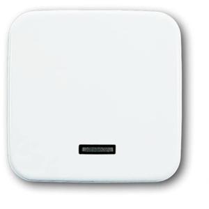 Busch-Jaeger 6543-214-102 Ingangsmodule Zonder opdruk Wit, Zuiver wit (RAL 9010) 1 stuk(s)