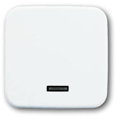 Busch-Jaeger 6543-214-102 Ingangsmodule Zonder opdruk Wit, Zuiver wit (RAL 9010) 1 stuk(s)