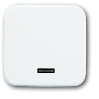 Busch-Jaeger 6543-214-102 Ingangsmodule Zonder opdruk Wit, Zuiver wit (RAL 9010) 1 stuk(s)