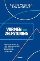 Vormen van zelfsturing (Paperback) Vormen van zelfsturing (Paperback)