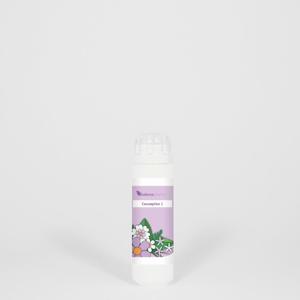 Balance Pharma CSP 001 Otitisode Causaplex