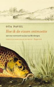 Hoe ik de vissen ontmoette (Paperback)