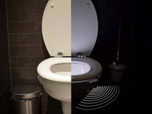 Led Toilet Light