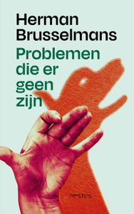 Problemen die er geen zijn - Herman Brusselmans - ebook