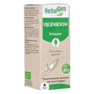 Herbalgem Vijgenboom Bio 30ml