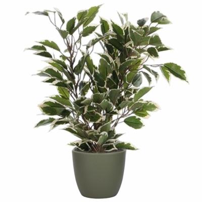 Mica Decorations Ficus kunstplant - groen - 40 cm - met plantenpot - groen - D13.5 en H12.5 cm