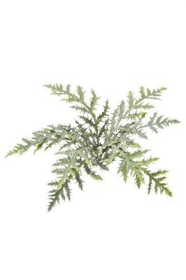 Forest fern bush x9 50 cm - Emerald