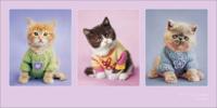 Kunstdruk Rachael Hale Kitty Couture 100x50cm