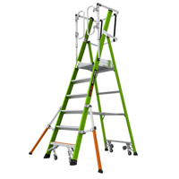 Little Giant Safety Cage | 6 Treden - 48416606
